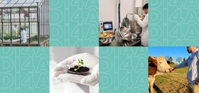 FOUR PILLARS, ONE DEPARTMENT