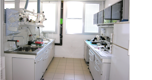 Immagine10.png Immagine10.png