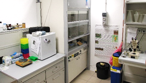 Immagine11.png Immagine11.png