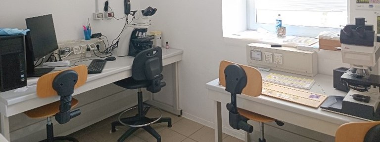 Immagine12.jpg Immagine12.jpg