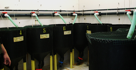 Immagine13.png Immagine13.png