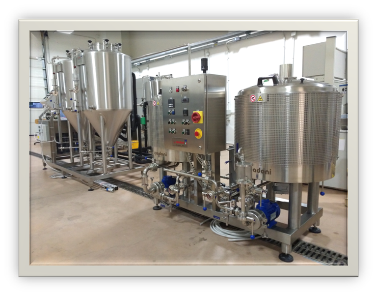 Immagine1.png Immagine1.png