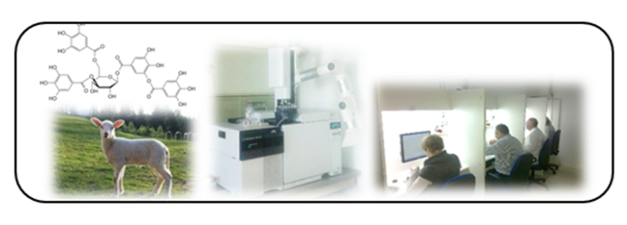 silvia del bianco.png