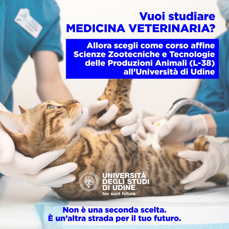 Iscrizione ASA Iscrizione ASA