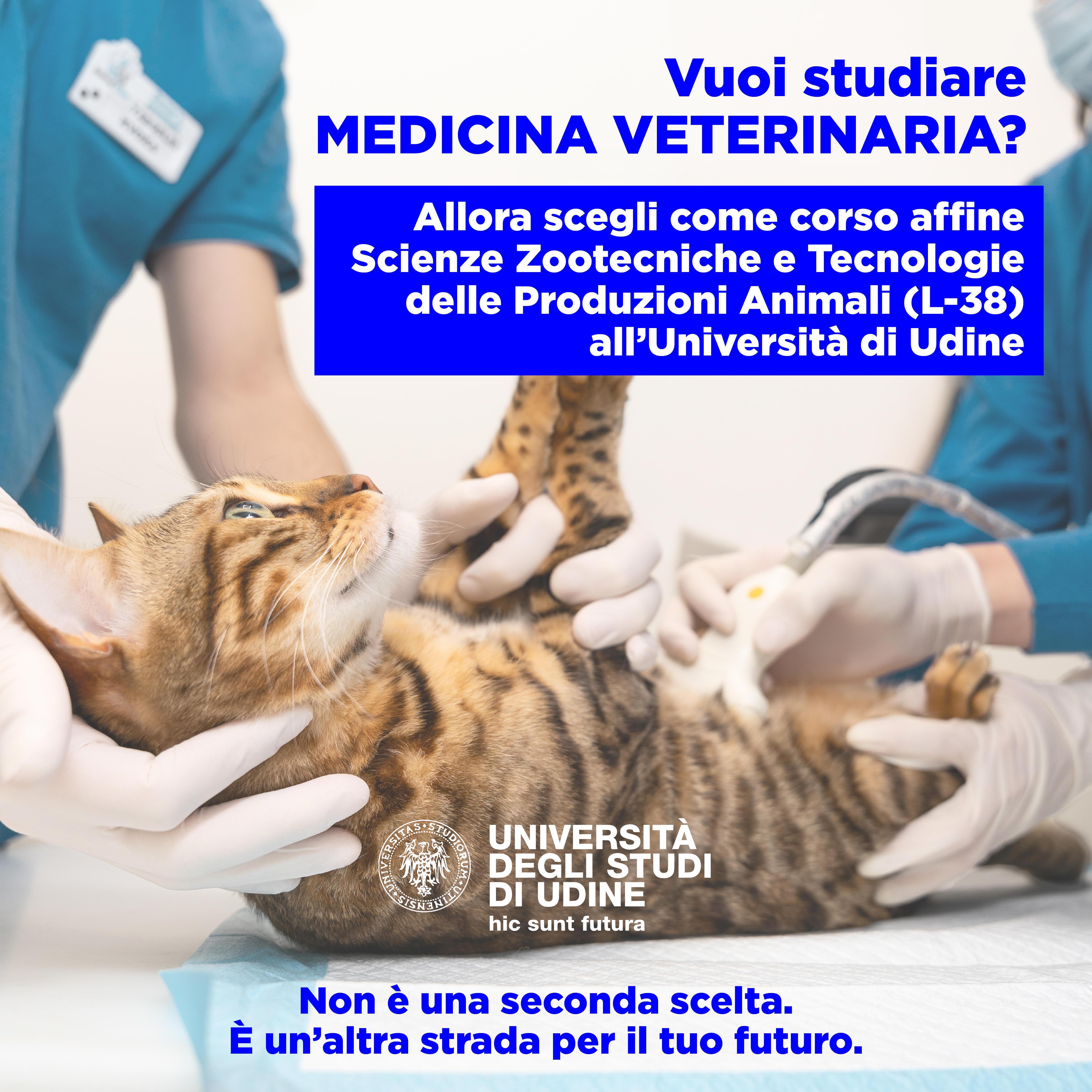 Adv Luglio_Tavola disegno 1 copia 29.jpg