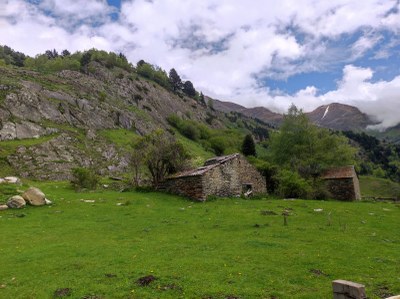 Immagine WhatsApp 2024-05-23 ore 06.49.45_bf4954ab.jpg Immagine WhatsApp 2024-05-23 ore 06.49.45_bf4954ab.jpg