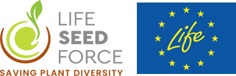 Immagine3.png Immagine3.png