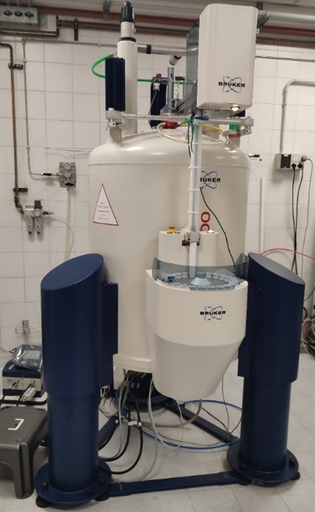 Immagine3.jpg Immagine3.jpg