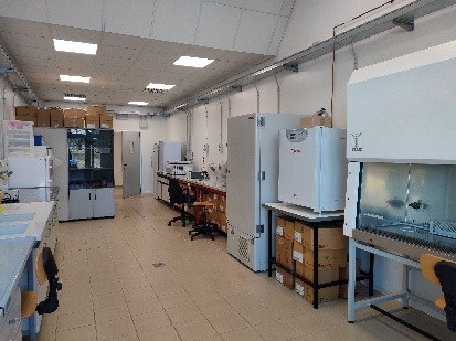 Immagine1.jpg Immagine1.jpg