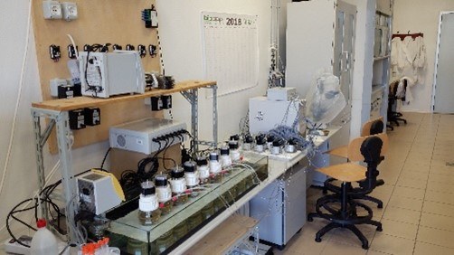 Immagine8.jpg Immagine8.jpg