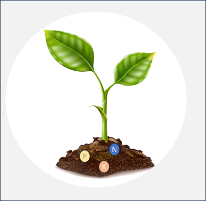 Immagine2.png Immagine2.png